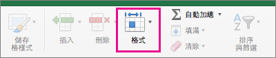 畫面上醒目提示 [常用] 索引標籤上的 [格式]