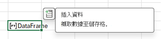 選擇插入資料圖示以擷取 DataFrame 資料。