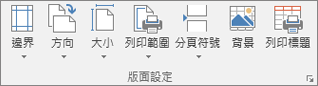 [版面配置] 索引標籤上的 [版面設定] 群組