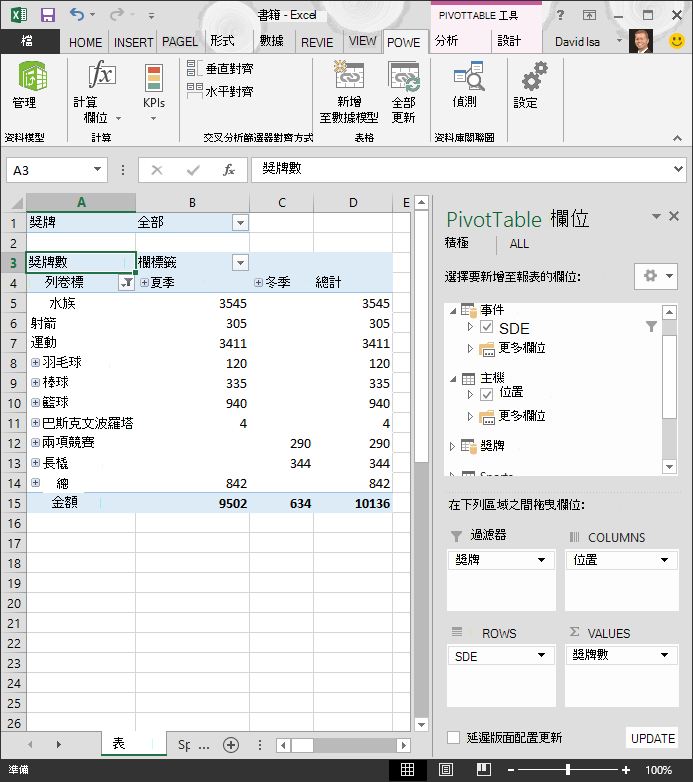 經過篩選的樞紐分析表