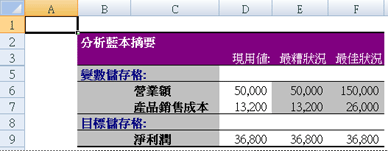 Excel 分析藍本摘要報表
