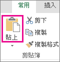 [剪貼簿] 群組中的 [貼上] 命令