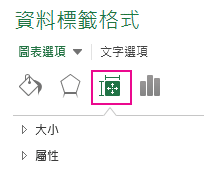 格式化 資料標籤 大小 & 屬性圖示與窗格