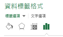 [資料標籤格式] 窗格