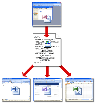 以其他程式使用 XML