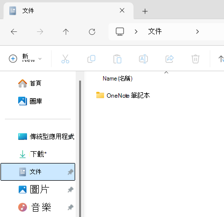 文件資料夾顯示 OneNote 筆記本子資料夾。