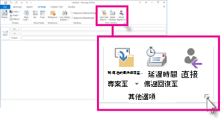 功能區上的 [其他選項] 群組