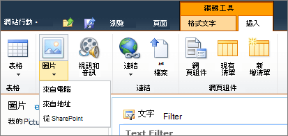點擊功能區上的圖片按鈕，然後選擇電腦、地址或 SharePoint 選項。
