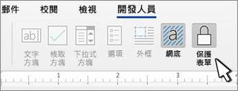 開發人員索引標籤上的保護表單按鈕