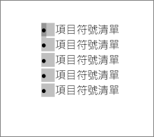 項目符號己選取