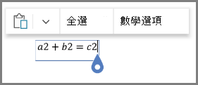 方程式的數學選項顯示
