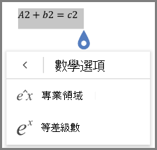 顯示數學方程式格式