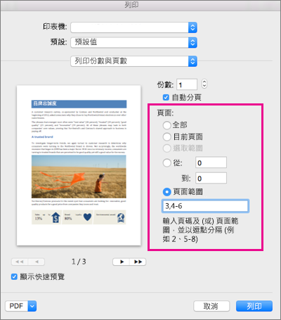 醒目提示 [頁面] 區段的 [列印] 對話方塊