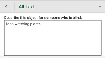 Android 版 Excel 中的替代文字對話框。