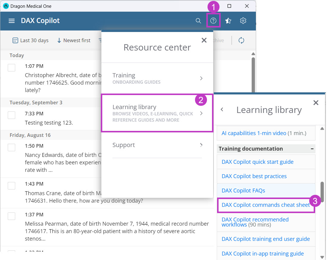 Image shows steps to navigate to DAX Copilot commands