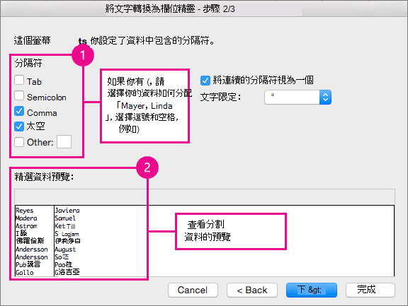 精靈的步驟 2，在 [分隔符號] 下選擇資料分割方式；在 [預覽] 底下，您可以預覽資料