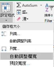 首頁>影像設定自動調整欄寬格式 >