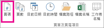 在 [頁首 & 頁尾元素] 群組中，按一下 [頁碼]