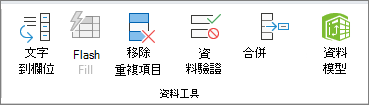 螢幕擷取畫面，顯示 [資料] 索引標籤上的 [資料工具] 群組。