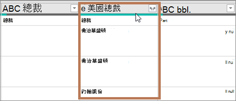 已建立資料類型資料行
