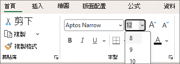[挑選其他字型大小] 下拉式清單的螢幕擷取畫面。