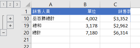 只顯示總計列的大綱清單