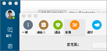 商務用 Skype 偏好設定畫面截圖，選取了音訊/視訊面板。