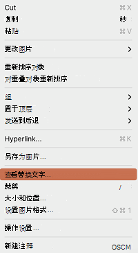 PowerPoint for Mac上下文菜单中的“查看替换文字”选项。