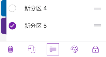 iPhone 菜单栏中的重命名分区按钮。