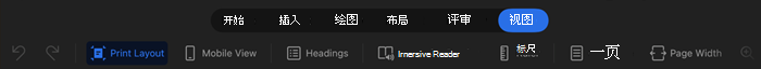 ipad 中单词的屏幕截图，其中显示了选中的视图>沉浸式阅读器，选项可用于页面颜色、列宽度和文本间距