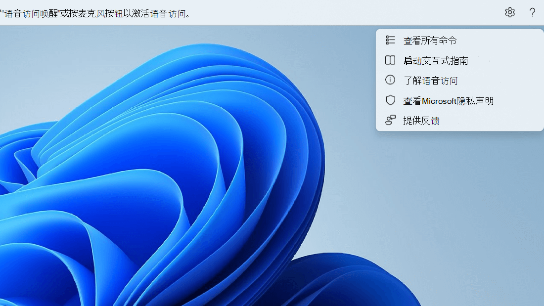 语音访问 UI 最右侧的帮助按钮已展开以显示各种选项。