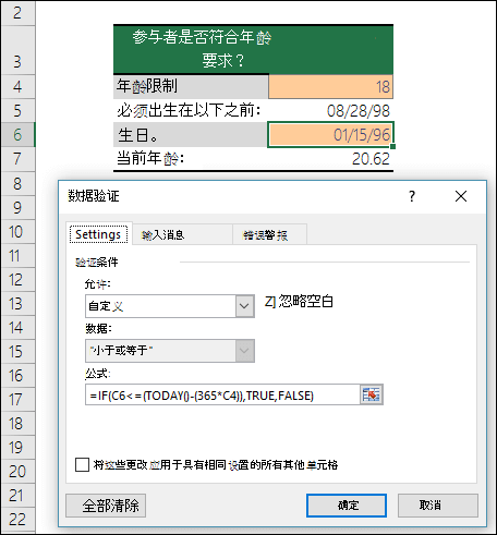 条目限制为最低年龄的数据验证示例