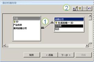 表分析器向导