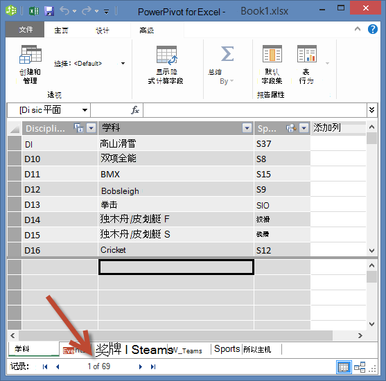 PowerPivot 显示的记录数