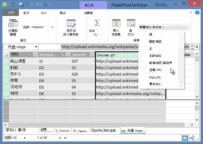 在 PowerPivot 中设置数据类别