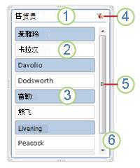 数据透视表切片器元素的屏幕截图。