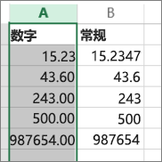 数字使用“数值”和“常规”之类不同格式时如何显示的示例。