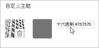 将颜色编辑为十六进制值屏幕截图