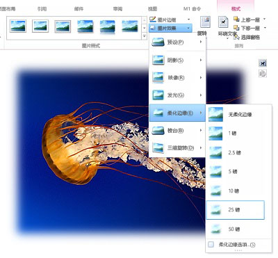使用“图片效果”添加阴影、柔化边缘、棱台或其他视觉效果。