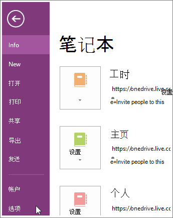 OneNote 选项