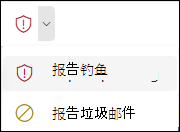 “报告”按钮的屏幕截图，其中在 Outlook 网页版 的简化功能区中选择了“报告钓鱼”。