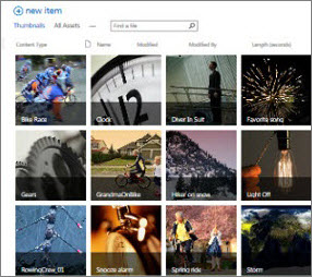 SharePoint 中资产库的屏幕截图。它显示库包含的多个视频和图像的缩略图。它还显示媒体资产的标准元数据列。