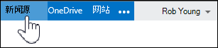 新闻源选项