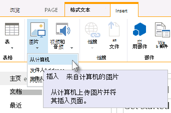 “从计算机插入图片”选项