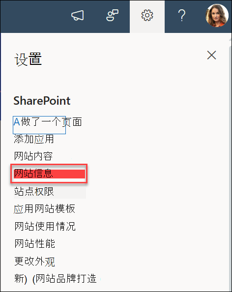 “设置”对话框中的“网站信息”选项。