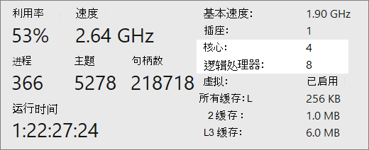 核心和逻辑处理器报告屏幕。