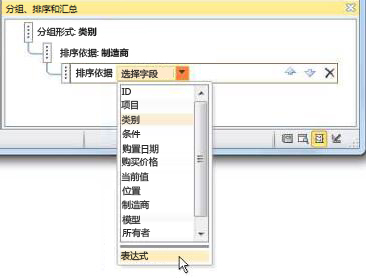 在“分组、排序和汇总”窗格中选择表达式选项。