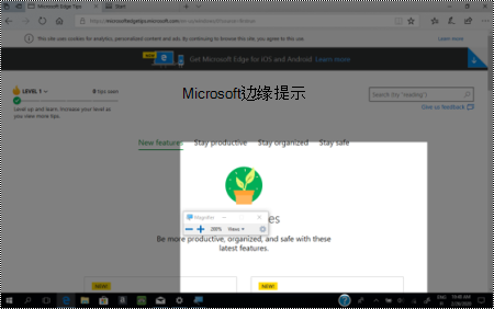 放大镜选择缩小到网站上的整个视图，并突出显示了“放大镜”选项。
