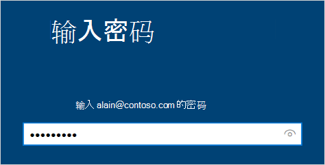 “输入密码”屏幕