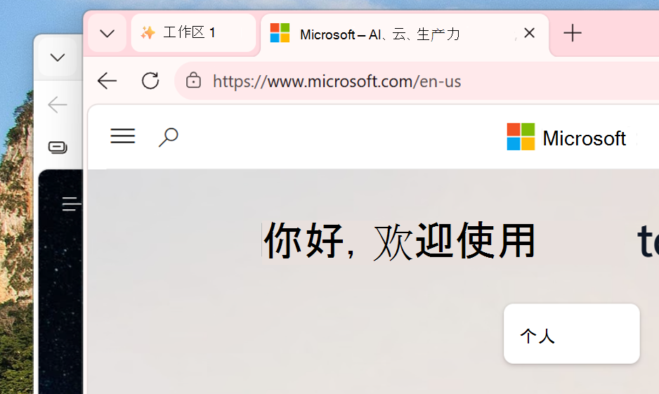 新窗口中工作区的屏幕截图。